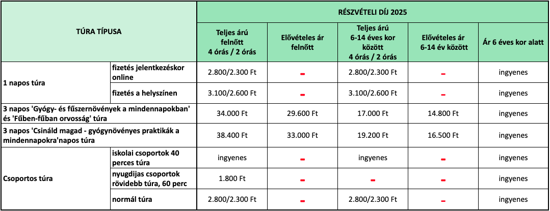 https://tura.gyorgytea.hu/storage/302/GYNT-2025-reszveteli-dijak-tablazat.png